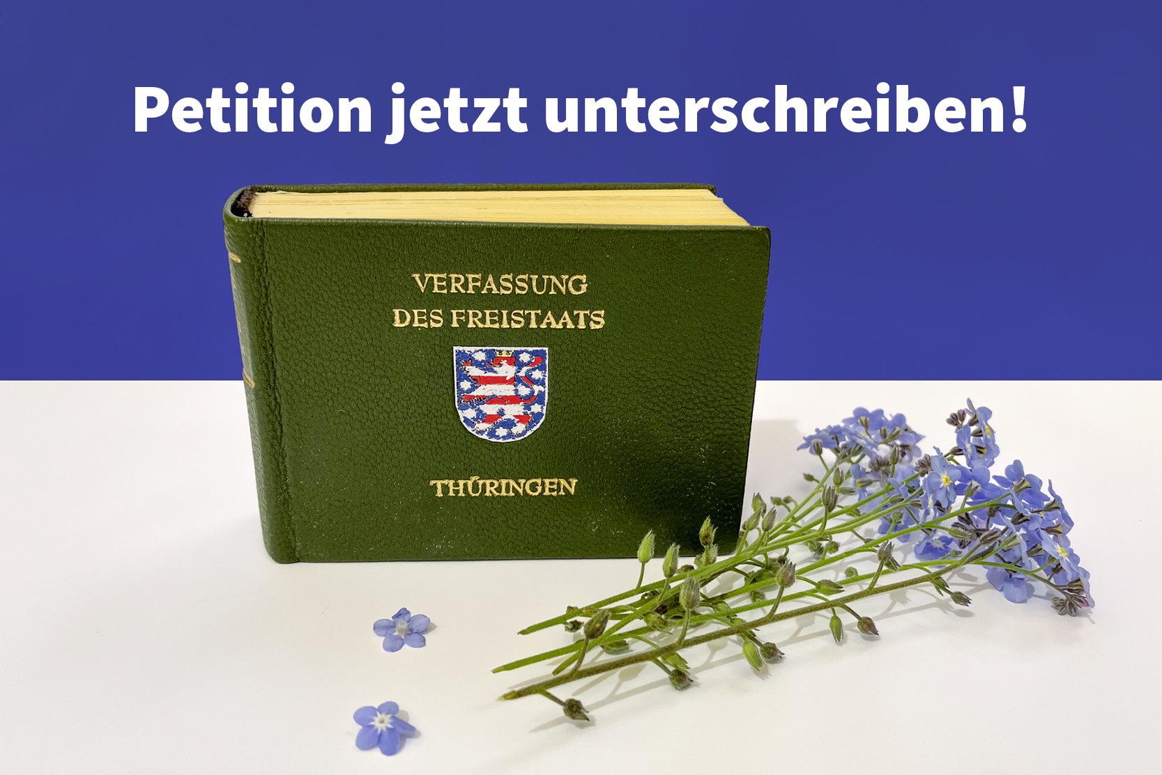 Verfassungsreform 2.0 – Bürger- und Grundrechte ausbauen, Demokratie schützen (Über die Petition) - Thüringer Landtag - Petitionsplattform